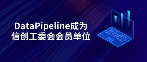 datapipeline正式成为信创工委会会员单位，致力为世界级用户提供更优质产品和服务